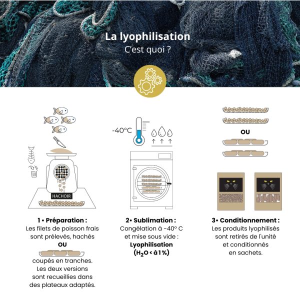 2 Lyophilisation poisson