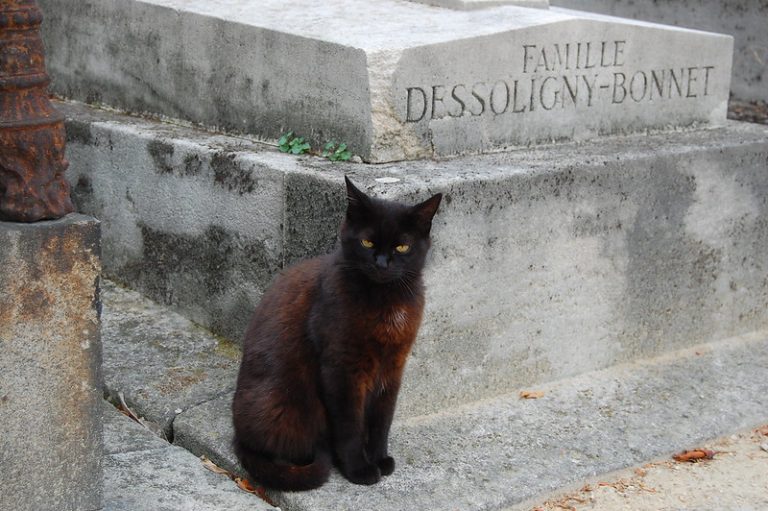 Au Père Lachaise