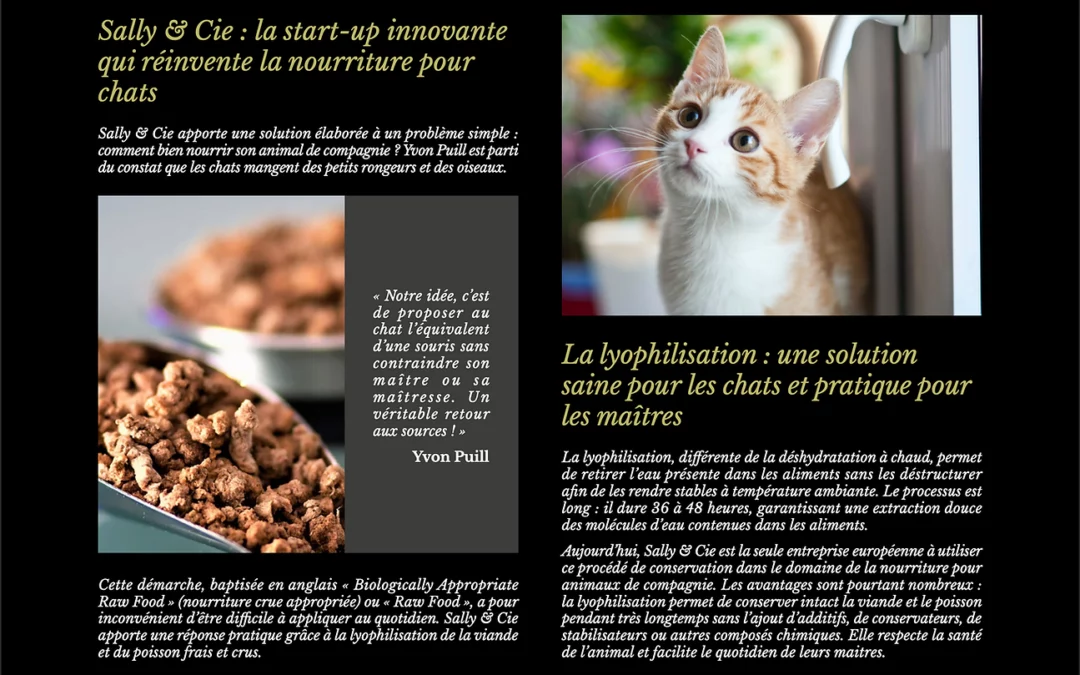 La lyophilisation de la nourriture pour chat : ses avantages