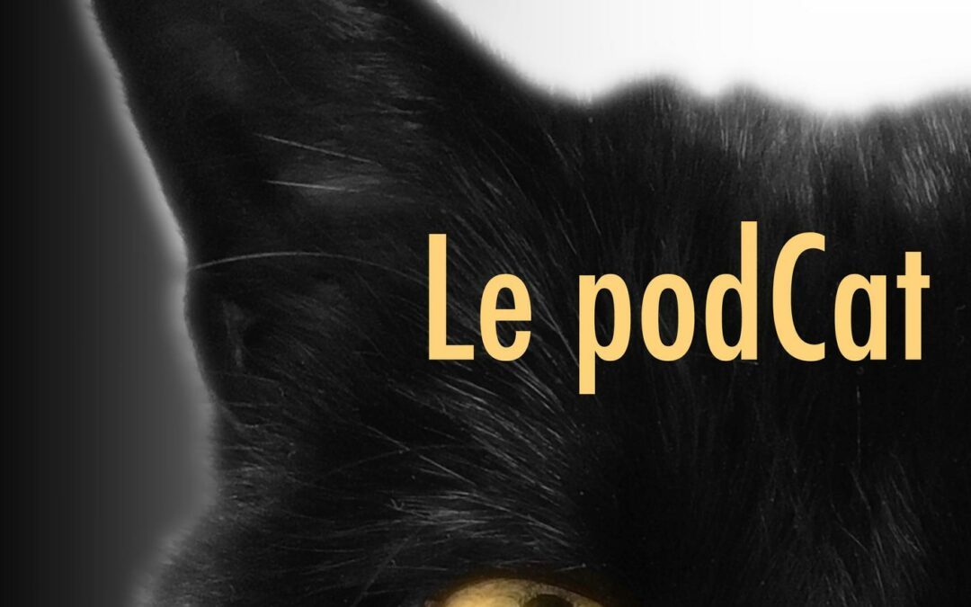 Le podCat – un podcast sur les chats